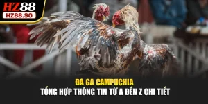 Đá Gà Campuchia - Tổng Hợp Thông Tin Từ A Đến Z Chi Tiết